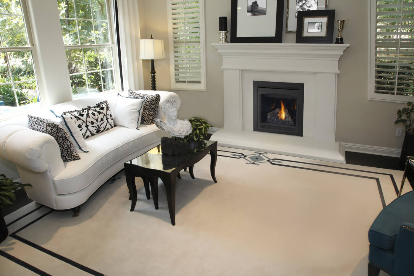 Napoleon Ascent™ Direct Vent Gas Fireplace