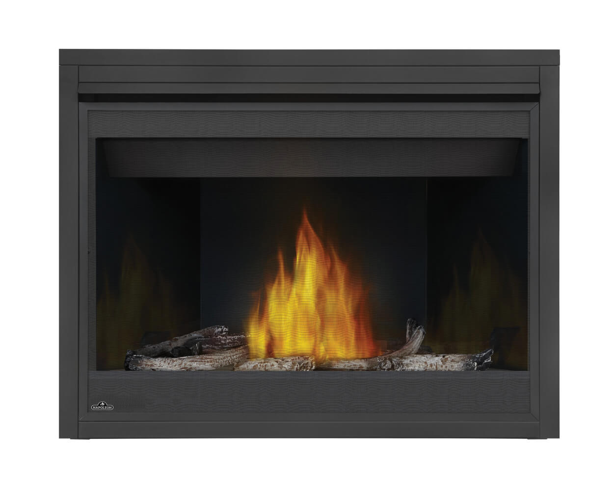 Napoleon Ascent™ Direct Vent Gas Fireplace